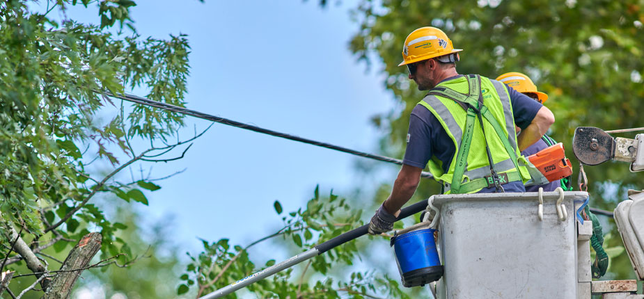 Consumers Energy worker trimming a tree